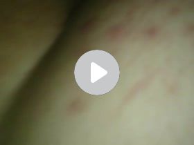 MOV_0053.mp4