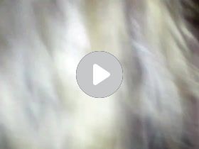 MOV_0078.mp4